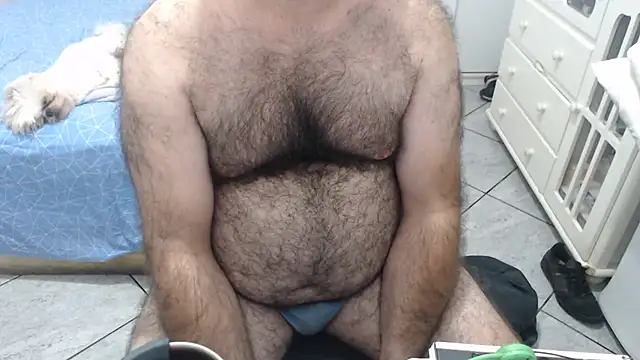 MysterBearMG webcam