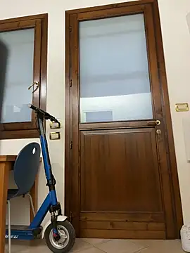 F0X89 webcam