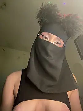 arabayla webcam