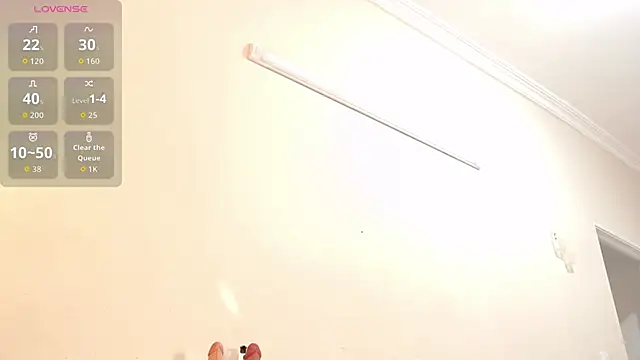 ElaineLaurent webcam