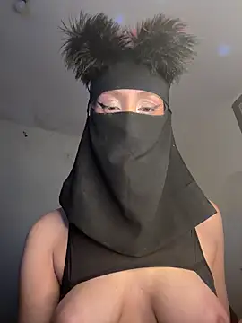 arabayla webcam