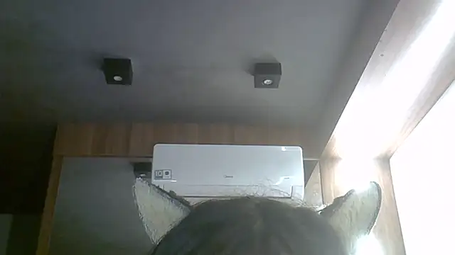 SkinnyKitten webcam