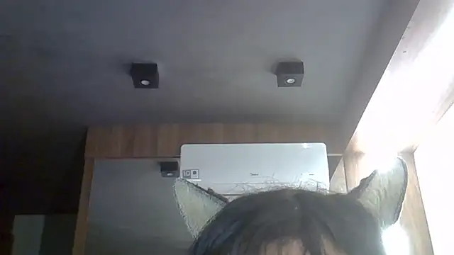 SkinnyKitten webcam