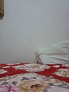 altinya webcam