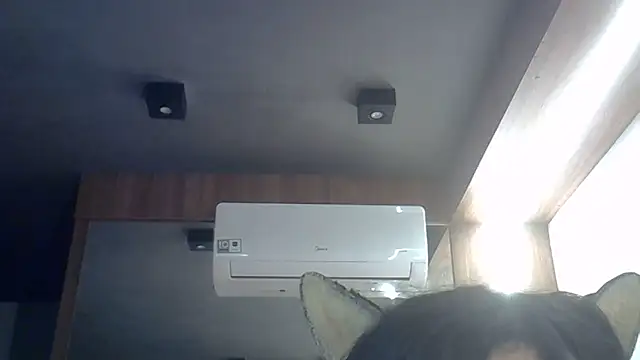 SkinnyKitten webcam