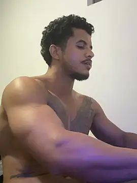 Sanicrt webcam