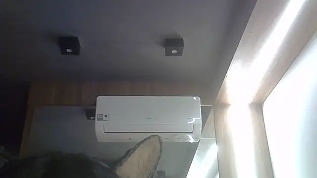 SkinnyKitten webcam