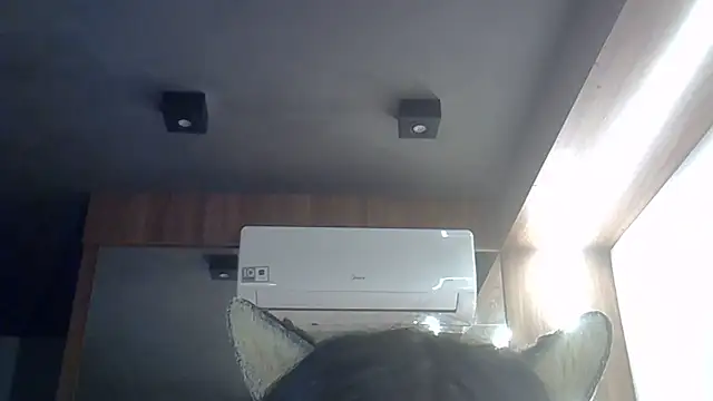 SkinnyKitten webcam