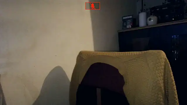 Hgay6935 webcam