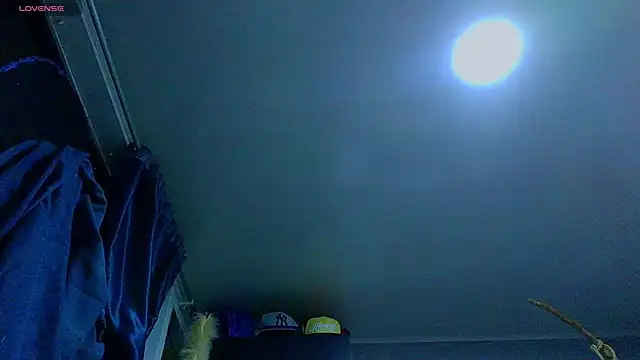 the_dog_lian webcam