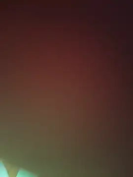 rjkr953 webcam