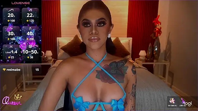 StellaStrong30 webcam