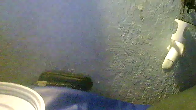 PornStro921 webcam