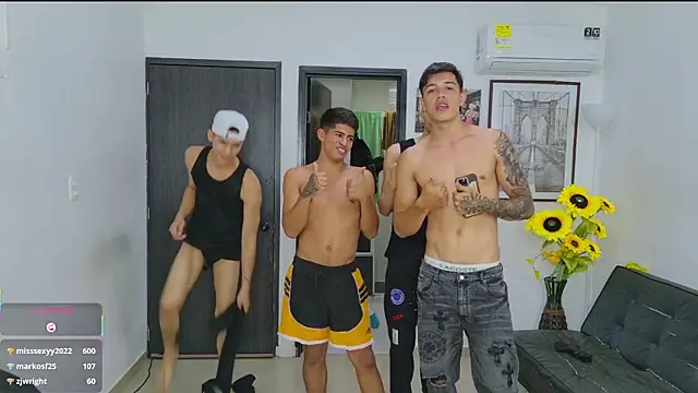 Voyeurism_guyss webcam