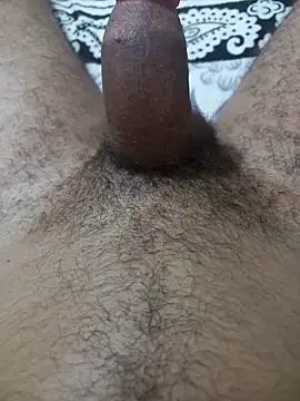 S1sexydick webcam