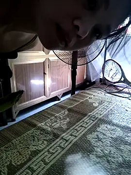 Want-fun webcam