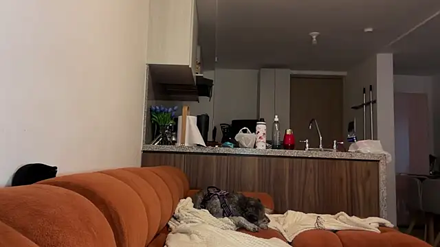 niah_11 webcam