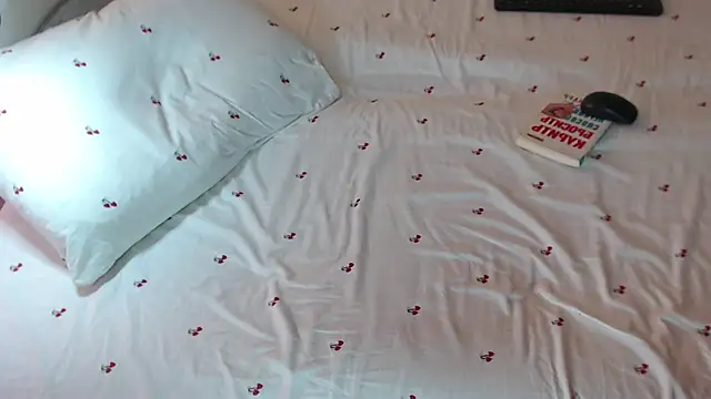 Q_T_pie webcam