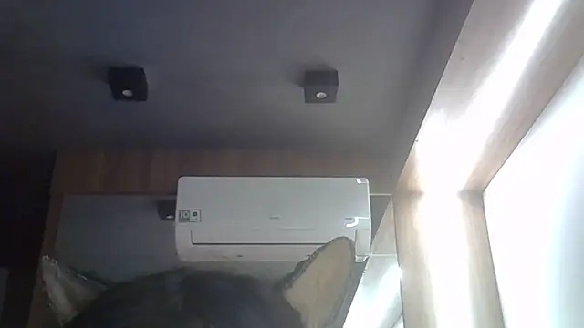 SkinnyKitten webcam