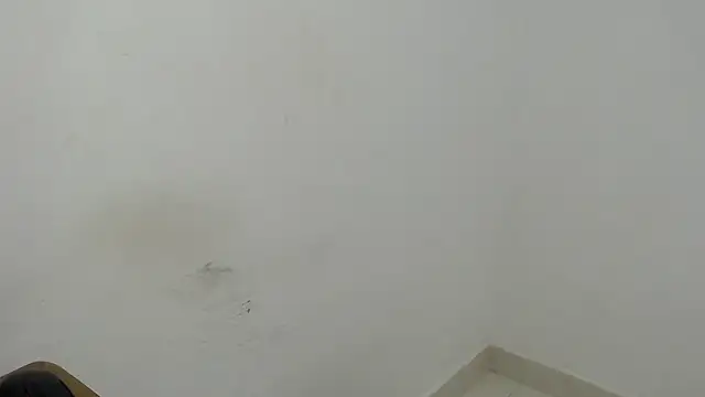 estefania224 webcam
