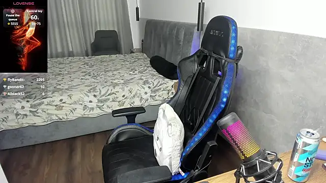MCfly_11 webcam