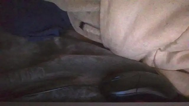 brawsociety (M young) - EROTIC🍆💦🍑SESSION🔥DUO👥FUN!