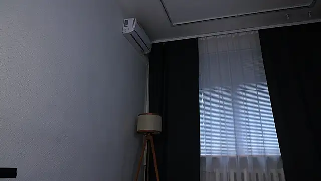 DelorisDetrich webcam