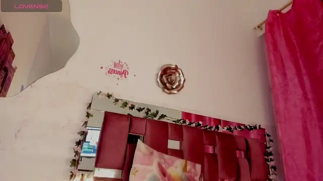 Estrella_rousel webcam