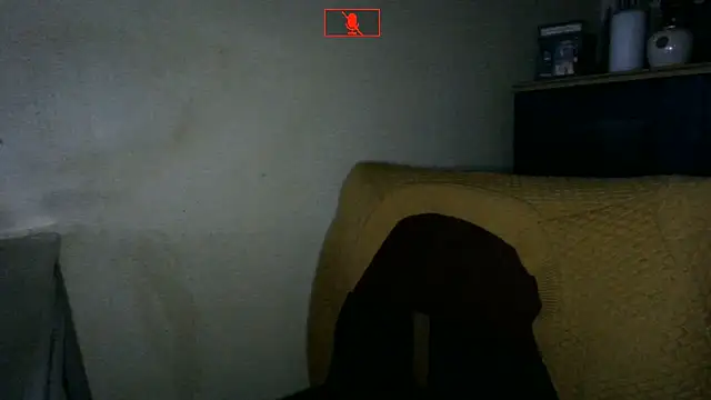 Hgay6935 webcam