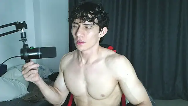 aresholland webcam
