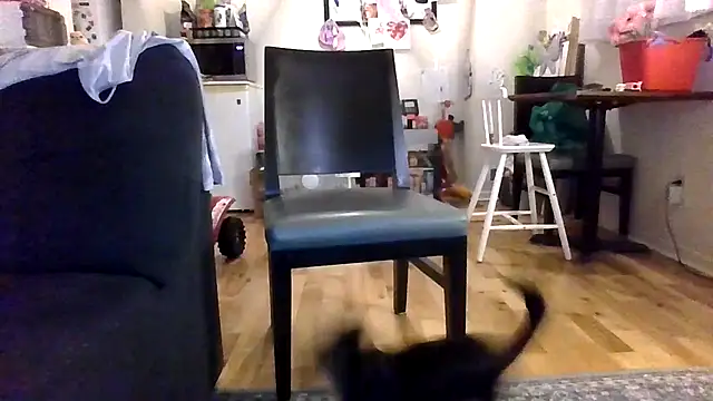 thedevinemama webcam