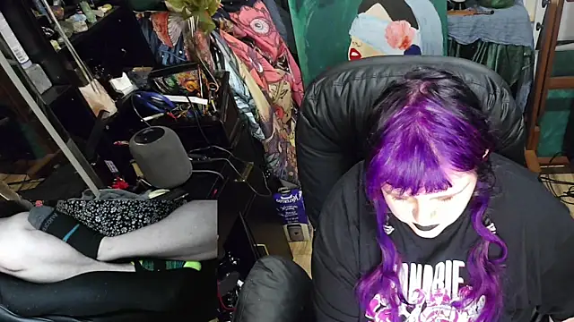 Sinstresshemlock webcam
