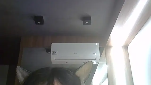 SkinnyKitten webcam