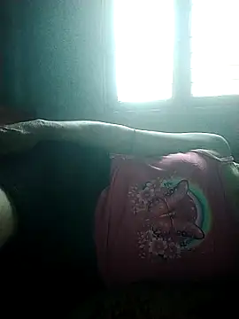 phlin1 webcam