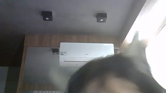 SkinnyKitten webcam