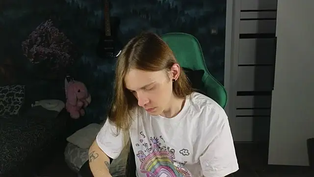 artass2 webcam