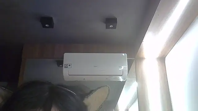 SkinnyKitten webcam