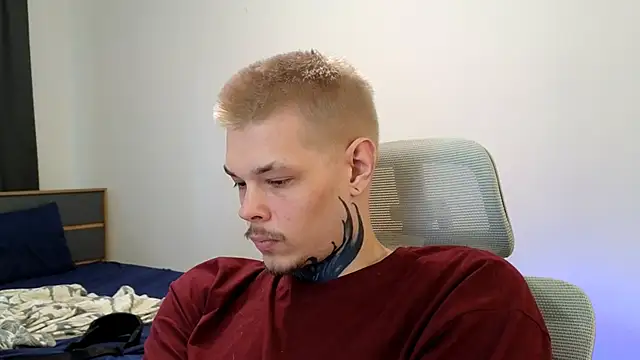 DENIS_HERE webcam