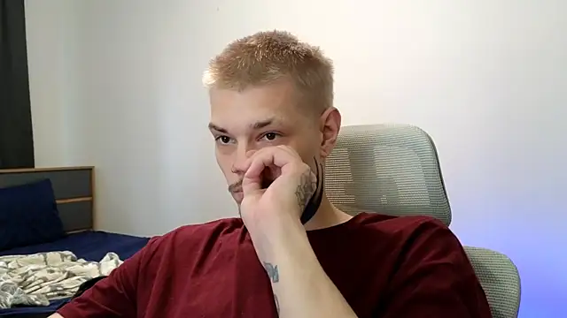 DENIS_HERE webcam