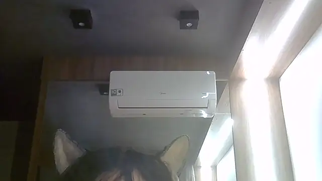 SkinnyKitten webcam