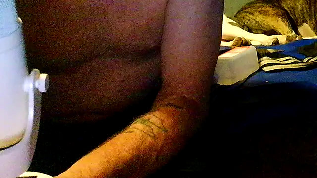 PornStro921 webcam