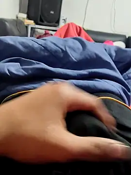 Rayangiss webcam