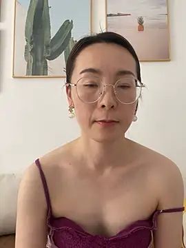 you-520 webcam