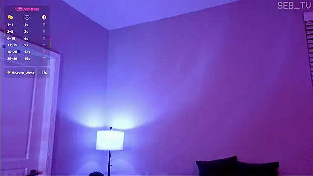 seb_tv webcam