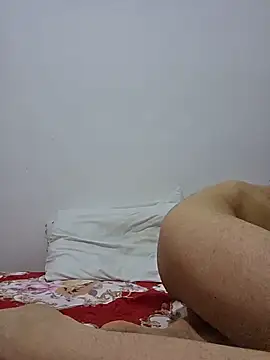 altinya webcam