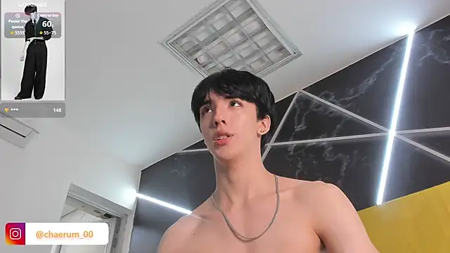 AerumChae webcam