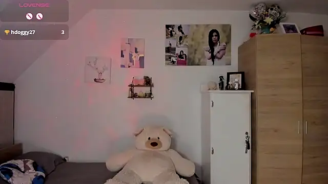 Veronikolsen- webcam