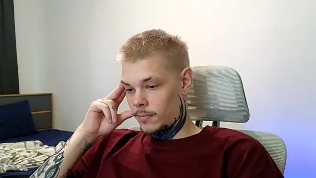 DENIS_HERE webcam