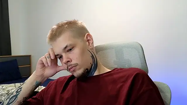 DENIS_HERE webcam