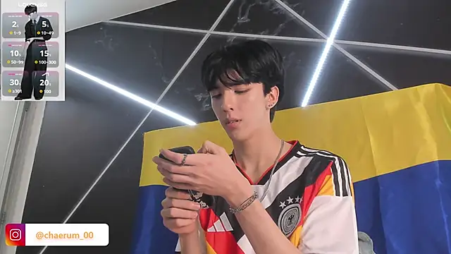 AerumChae webcam